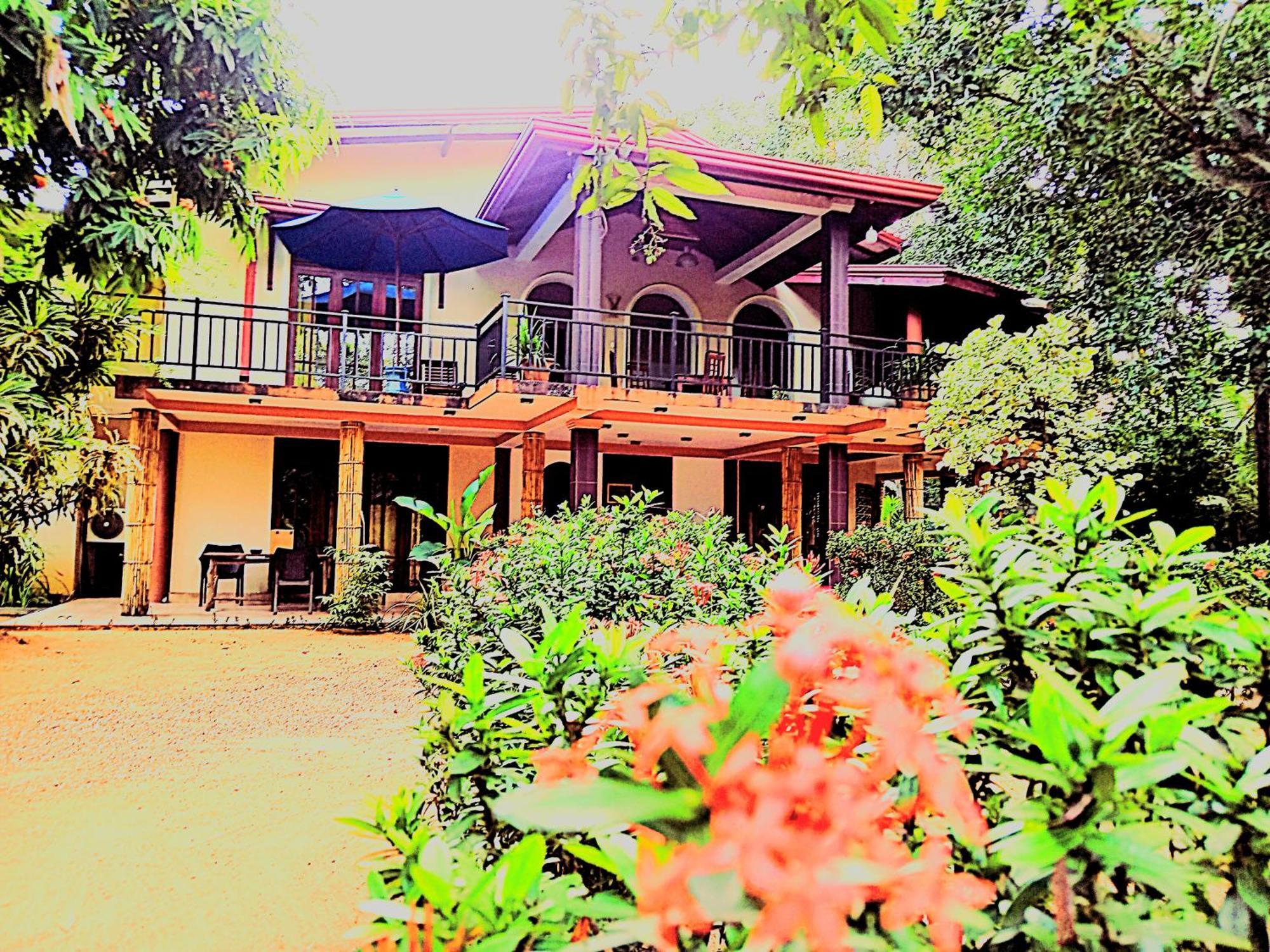 Leopard City Hostel Yala Tissamaharama Kültér fotó