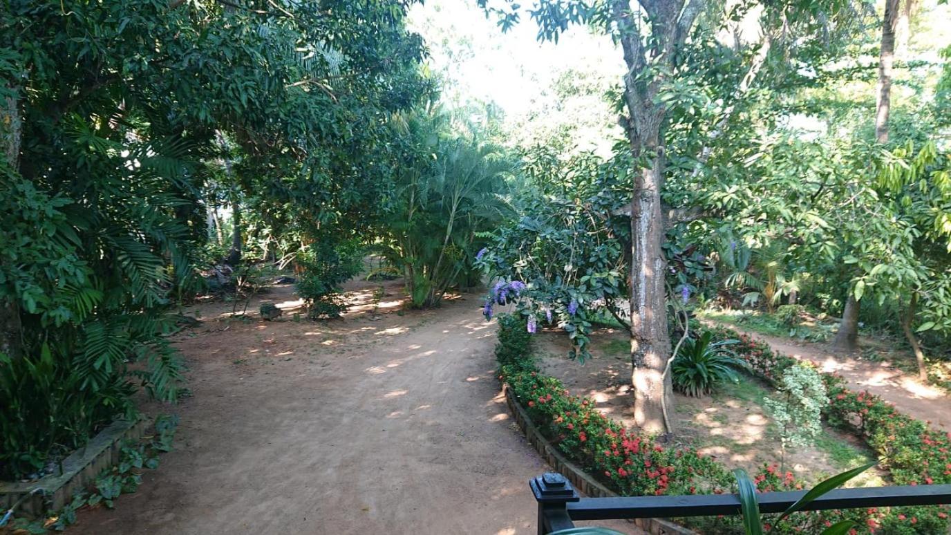 Leopard City Hostel Yala Tissamaharama Kültér fotó
