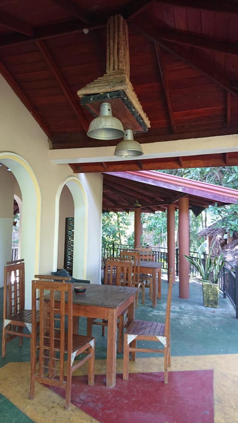 Leopard City Hostel Yala Tissamaharama Kültér fotó