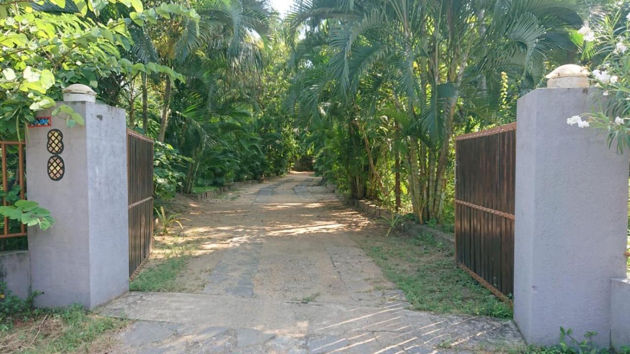 Leopard City Hostel Yala Tissamaharama Kültér fotó