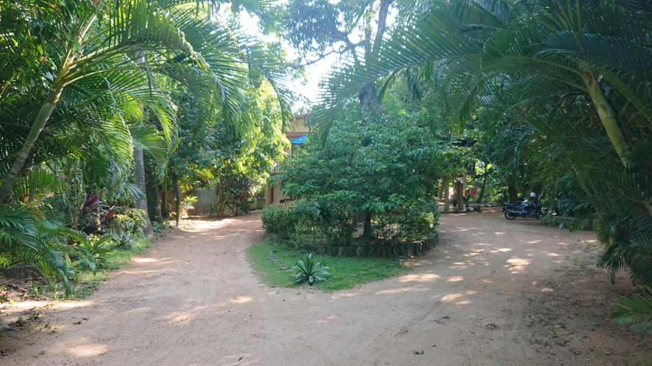 Leopard City Hostel Yala Tissamaharama Kültér fotó